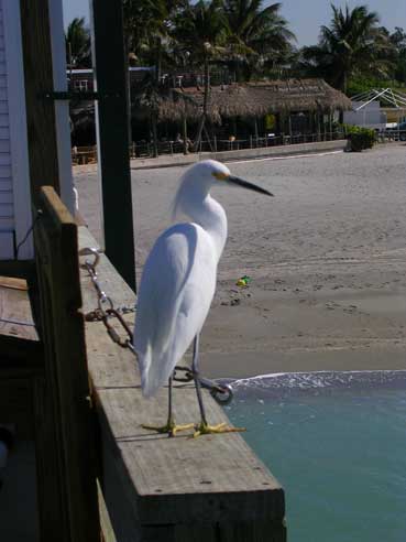 West Coast of Florida Beach